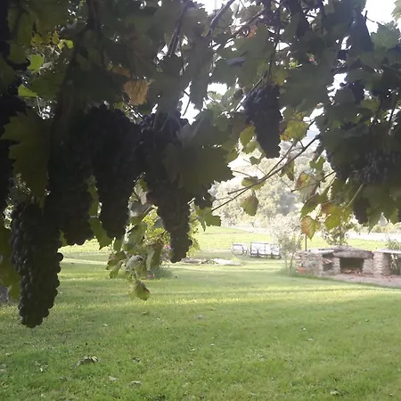 Le Bumbarelle 3* Tavoleto