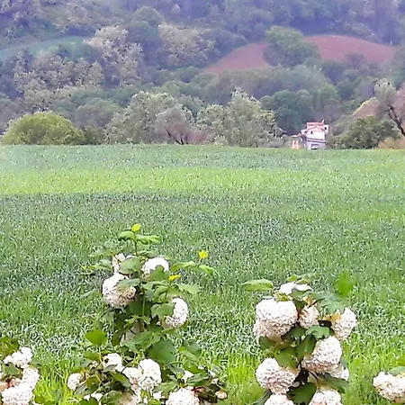 Alojamento de Acomodação e Pequeno-almoço Le Bumbarelle Tavoleto