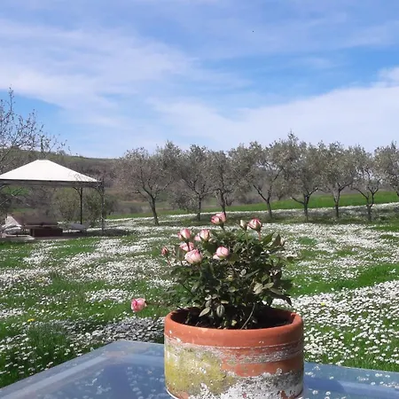 Le Bumbarelle Tavoleto