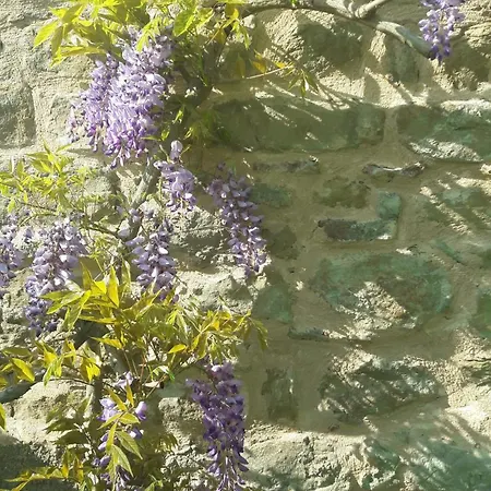 Alojamento de Acomodação e Pequeno-almoço Le Bumbarelle