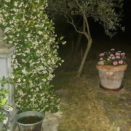 Le Bumbarelle Tavoleto