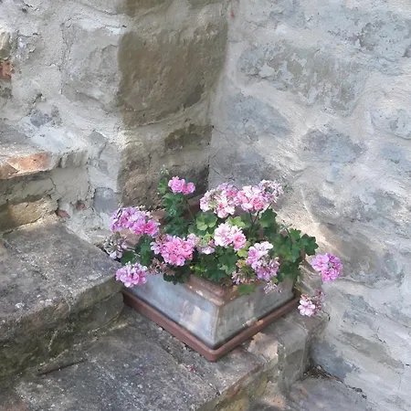 Le Bumbarelle فندق مبيت وإفطار 3*