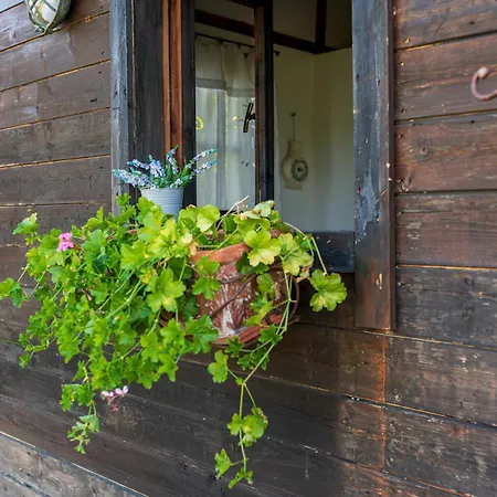 Bed & Breakfast Le Bumbarelle