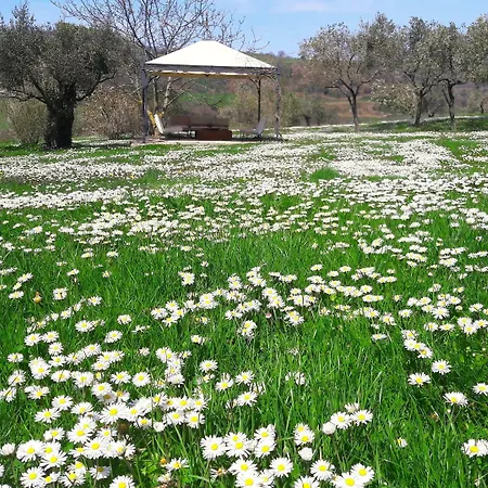 Le Bumbarelle 3* Tavoleto