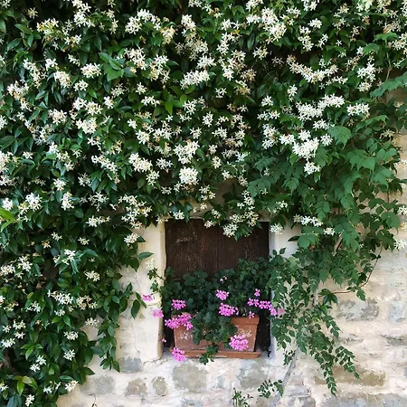 Le Bumbarelle Tavoleto