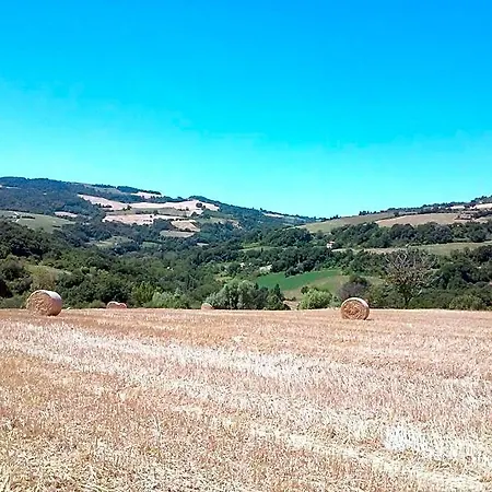 Le Bumbarelle Bed & Breakfast Tavoleto