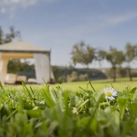 فندق مبيت وإفطار Le Bumbarelle 3*