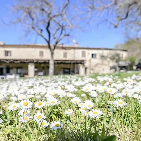 Alojamento de Acomodação e Pequeno-almoço Le Bumbarelle Tavoleto