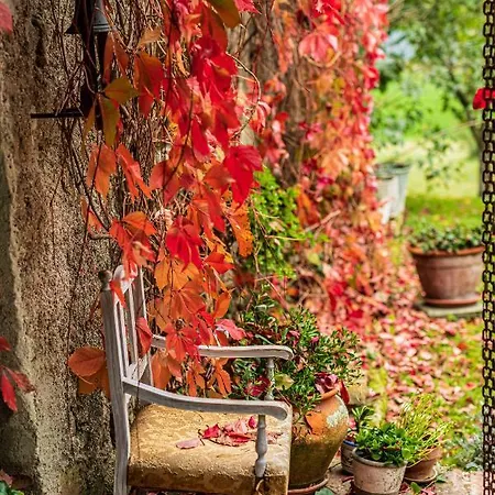 Le Bumbarelle 3* Tavoleto