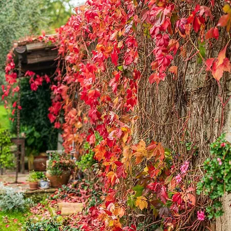 Le Bumbarelle 3* Tavoleto