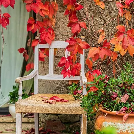 Le Bumbarelle Bed & Breakfast 3*